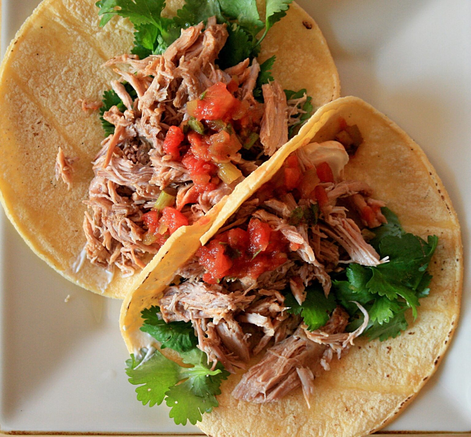 Receta de Carnitas ⇨ Fácil y Ricas!